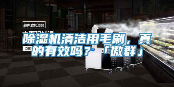 小黄片直播视频清洁用毛刷，真的有效吗？「傲群」