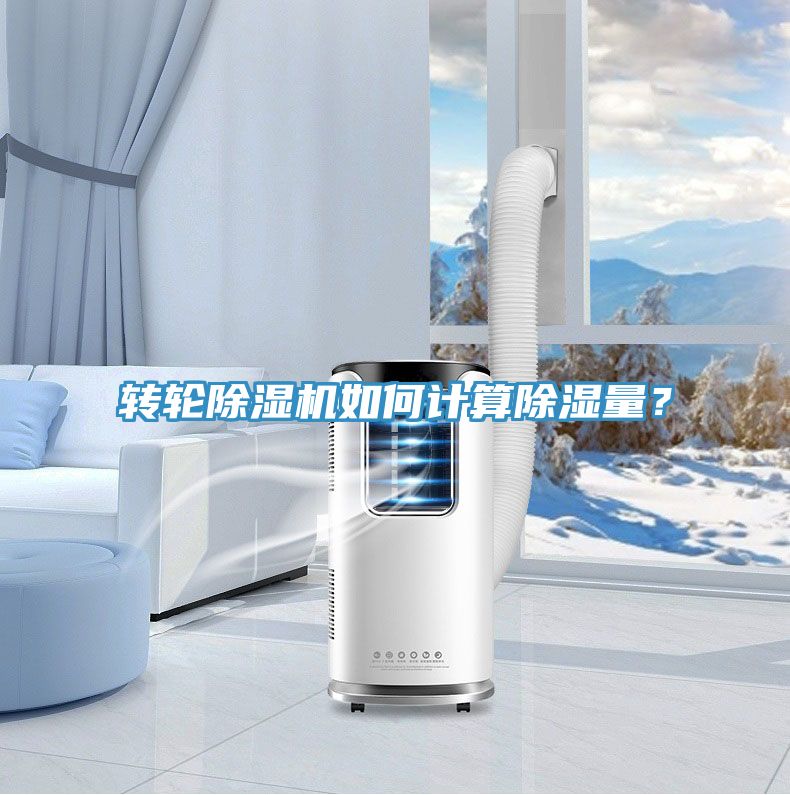 转轮小黄片直播视频如何计算除湿量？