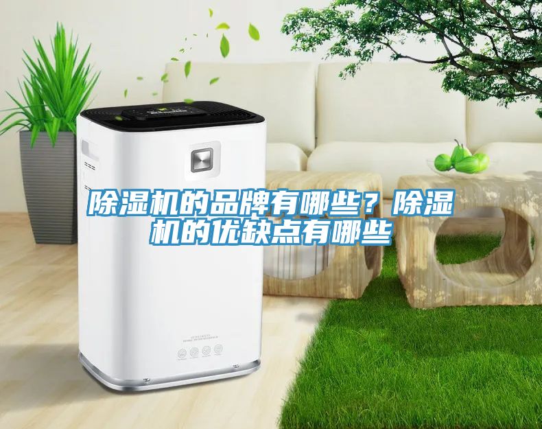 小黄片直播视频的品牌有哪些？小黄片直播视频的优缺点有哪些