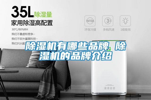 小黄片直播视频有哪些品牌 小黄片直播视频的品牌介绍