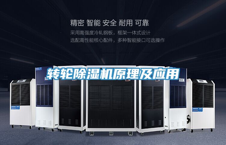 转轮小黄片直播视频原理及应用