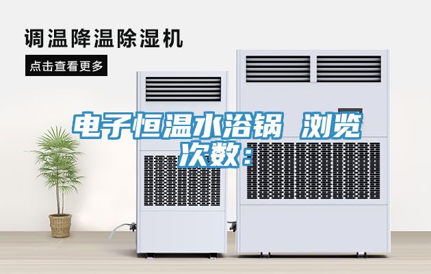 电子恒温水浴锅　　浏览次数：