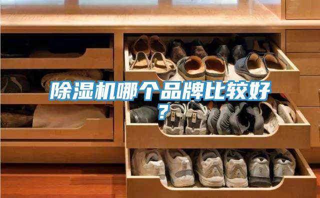 小黄片直播视频哪个品牌比较好？