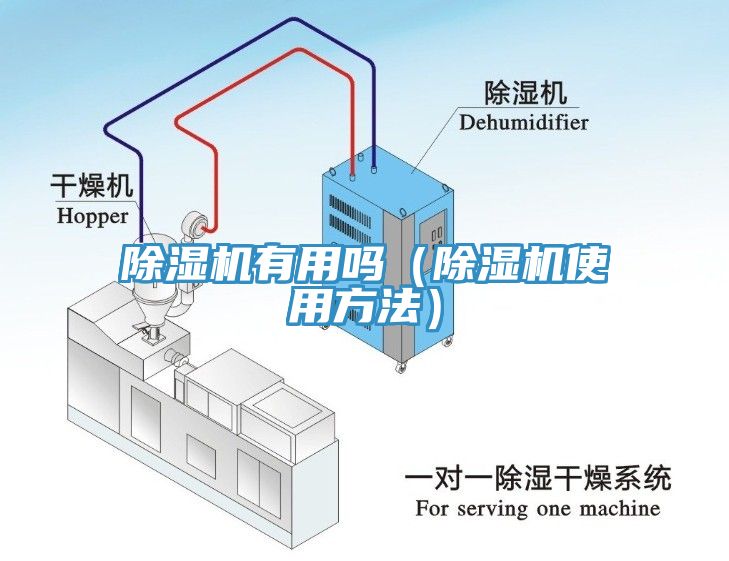 小黄片直播视频有用吗（小黄片直播视频使用方法）