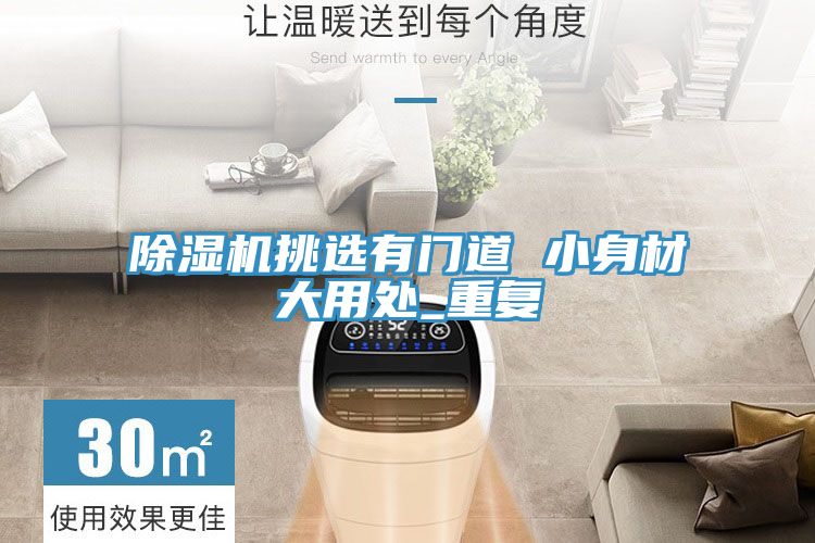 小黄片直播视频挑选有门道 小身材大用处_重复