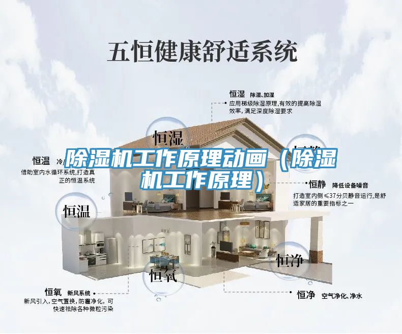 小黄片直播视频工作原理动画（小黄片直播视频工作原理）