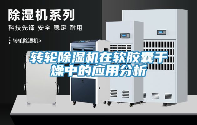转轮小黄片直播视频在软胶囊干燥中的应用分析