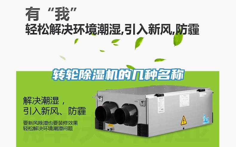 转轮小黄片直播视频的几种名称