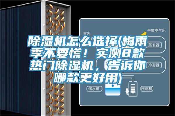 小黄片直播视频怎么选择(梅雨季不要慌！实测8款热门小黄片直播视频，告诉你哪款更好用)