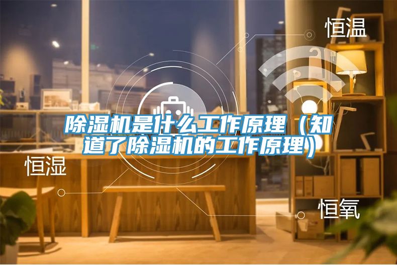 小黄片直播视频是什么工作原理（知道了小黄片直播视频的工作原理）