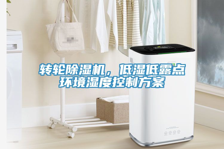 转轮小黄片直播视频，低湿低露点环境湿度控制方案