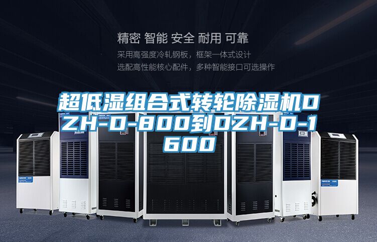 超低湿组合式转轮小黄片直播视频DZH-D-800到DZH-D-1600