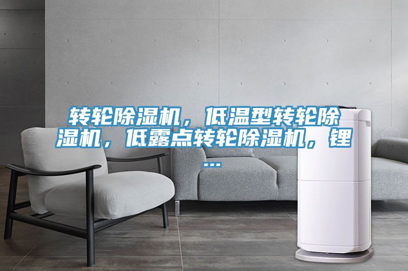 转轮小黄片直播视频，低温型转轮小黄片直播视频，低露点转轮小黄片直播视频，锂 ...