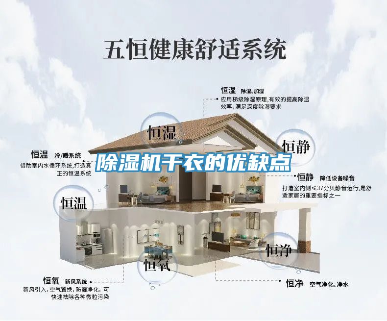 小黄片直播视频干衣的优缺点